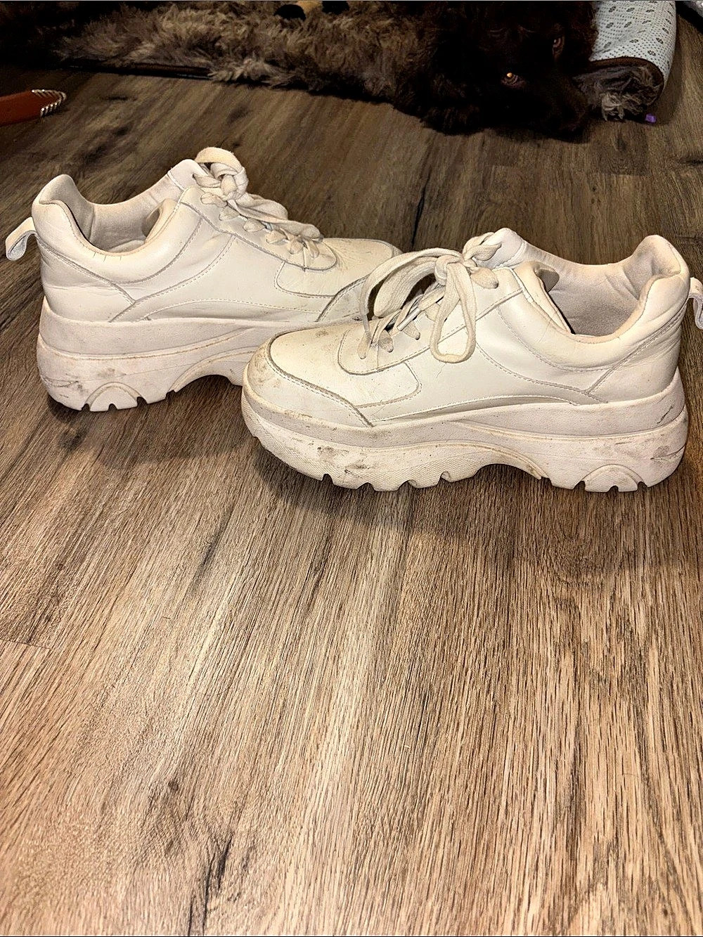 Steve Madden Cliff Sneaker White Sneakers